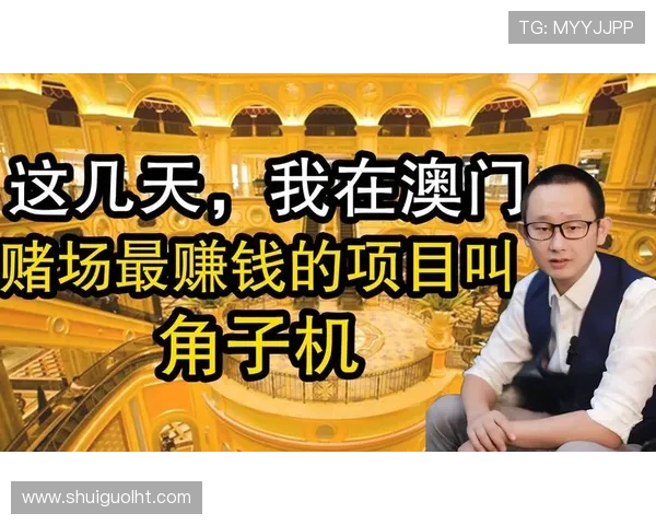 澳门角子游戏机哪里可以买到，最新市场行情与购买建议一站式指南